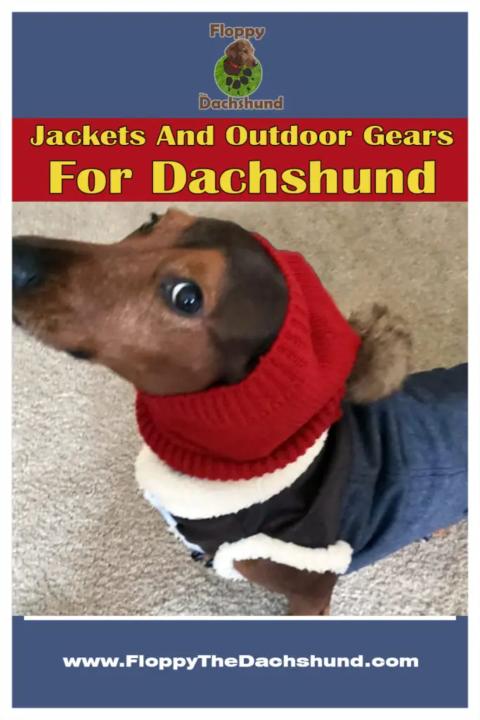 Jackets And Outdoor Gears For Dachshund