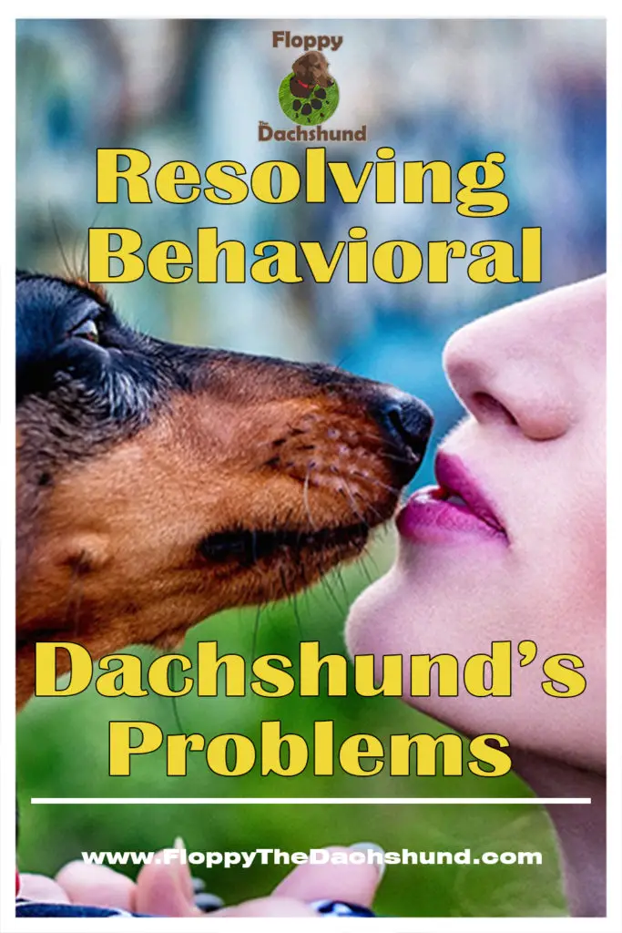 Resolving Behavioral Problems In Dachshund