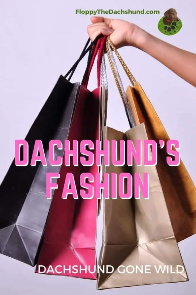 Dachshund's Fashion