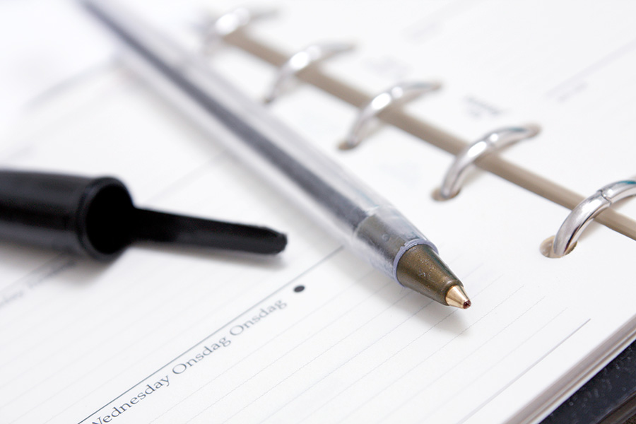 How to potty train your Dachshund puppy fast - set schedule