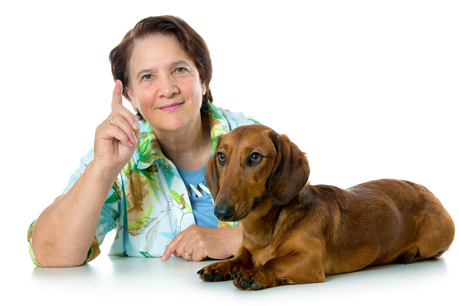 10 Steps To Follow When Disciplining Your Dachshund