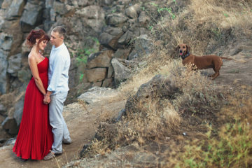 Can Dachshunds Make Good Family Pets