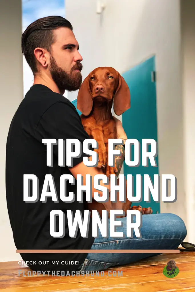 Tips For Dachshund Owner