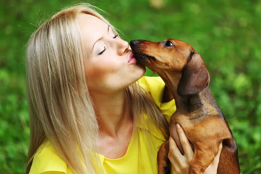 Are Dachshunds Cold-natured?