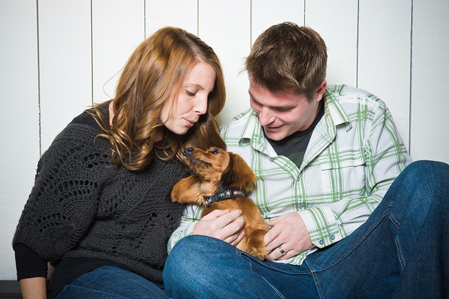 Dachshund Bond With Only One Person?