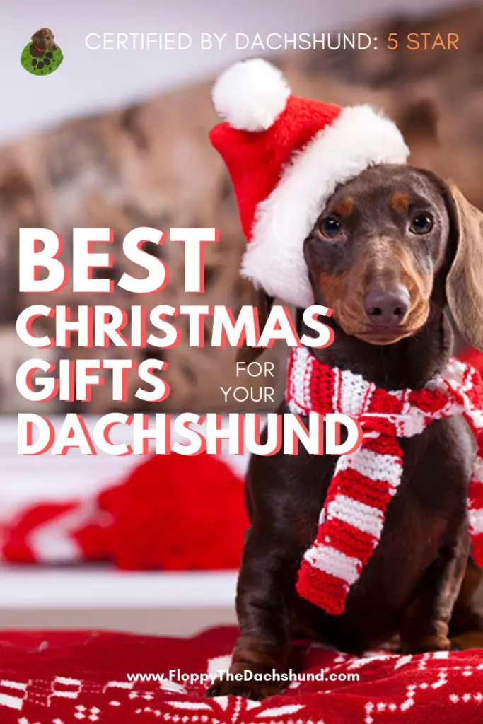 Best Christmas Gifts For Your Dachshund
