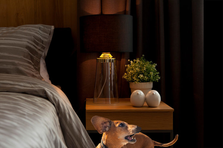 Why Do Dogs Bark At 3 AM?