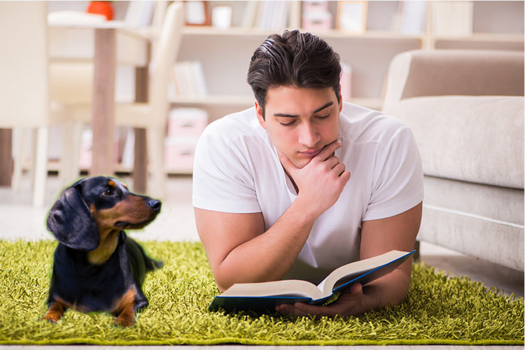 Dachshund Training Books