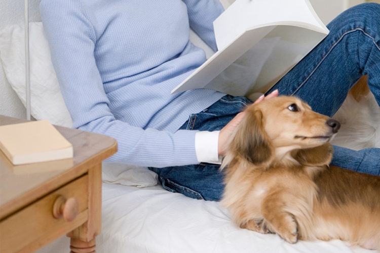 Dachshund's Health Book Reviews